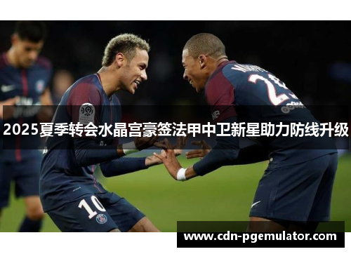 2025夏季转会水晶宫豪签法甲中卫新星助力防线升级