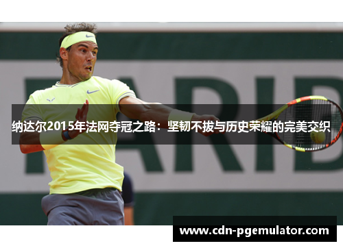纳达尔2015年法网夺冠之路：坚韧不拔与历史荣耀的完美交织